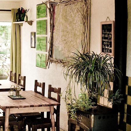 Gite De La Baume , Aux Delices Du Verdon カステラーヌ エクステリア 写真